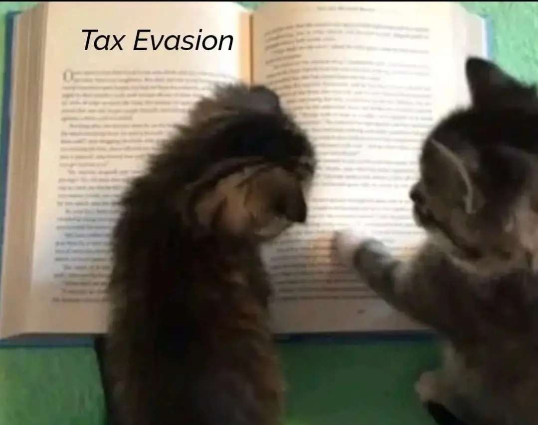 tax evasion